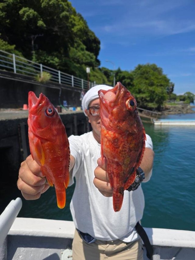 アカハタ・カサゴ