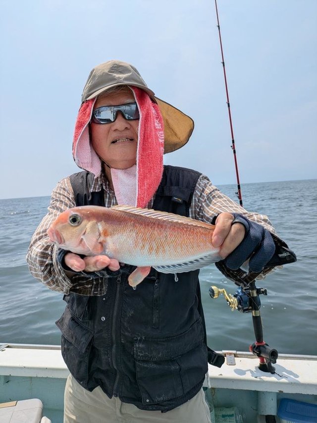 アマダイ(アカアマダイ)