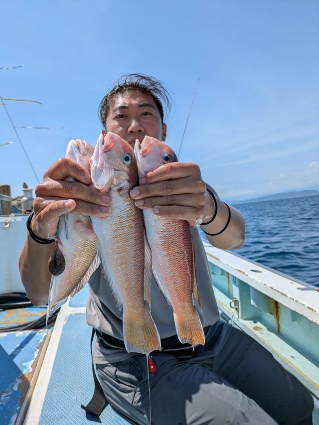 アマダイ(アカアマダイ)