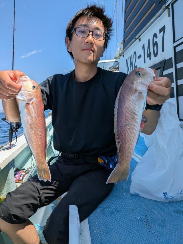 アマダイ(アカアマダイ)