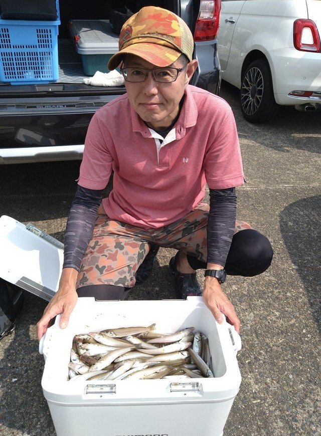 キス(シロギス)