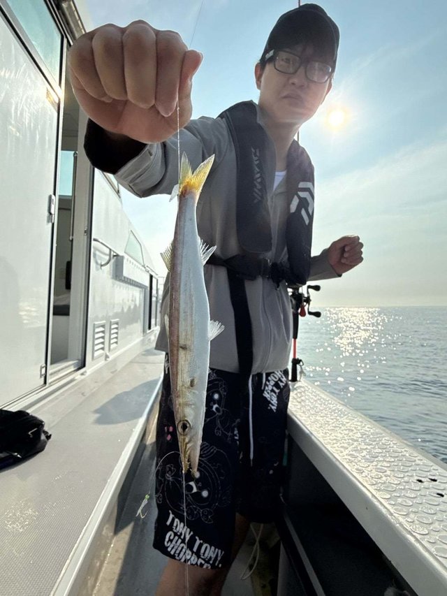 カマス(アカカマス)