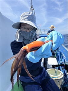 スルメ(スルメイカ)