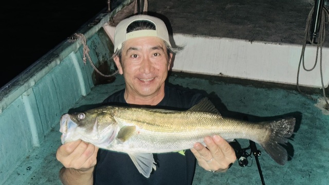 シーバス(スズキ)