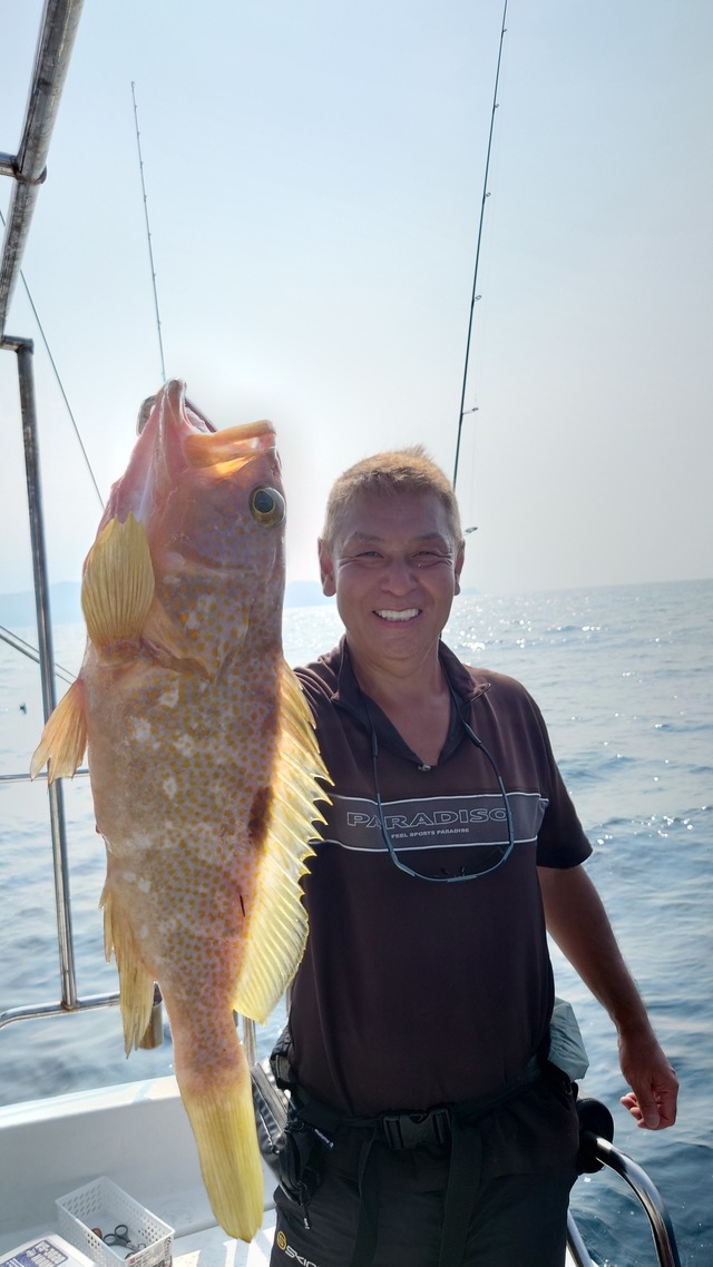 アコウ(キジハタ)