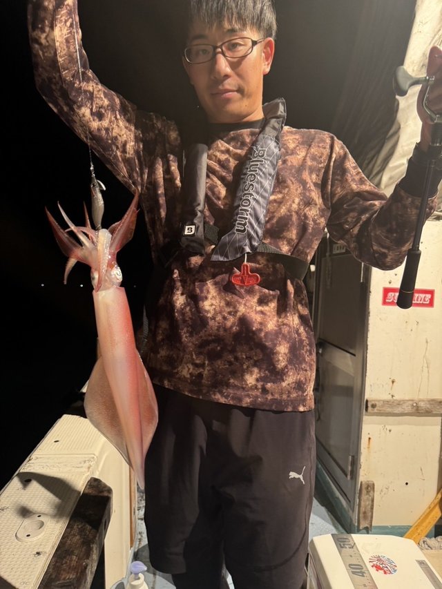 シロイカ(ケンサキイカ)