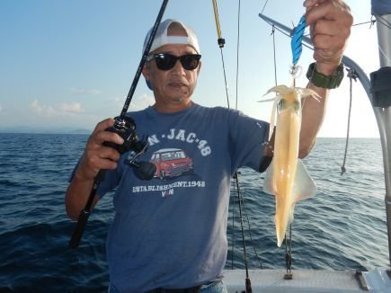 シロイカ(ケンサキイカ)