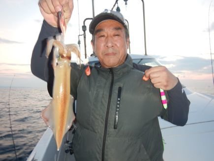 シロイカ(ケンサキイカ)