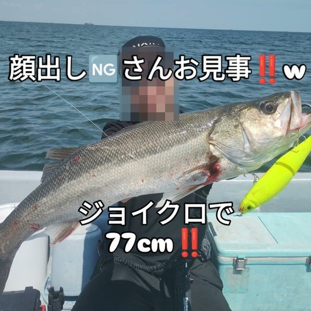 シーバス(スズキ)