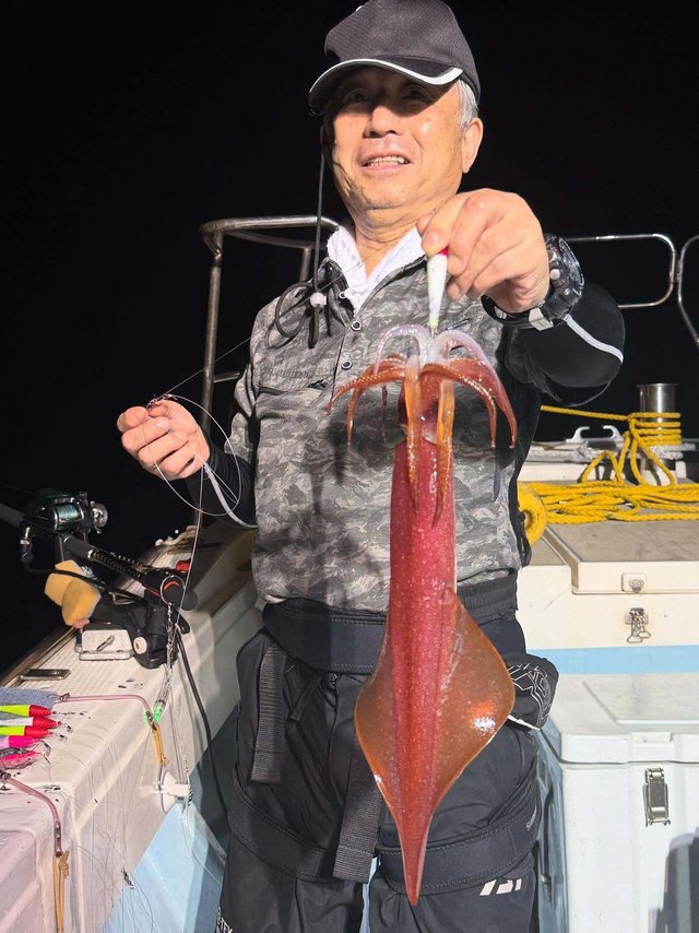 イカ(ケンサキイカ)