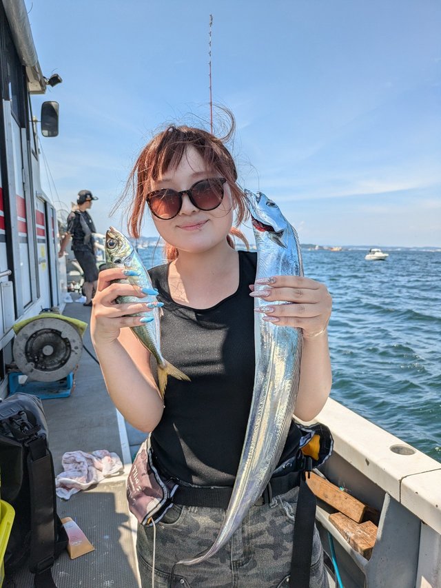 アジ(マアジ)・タチウオ