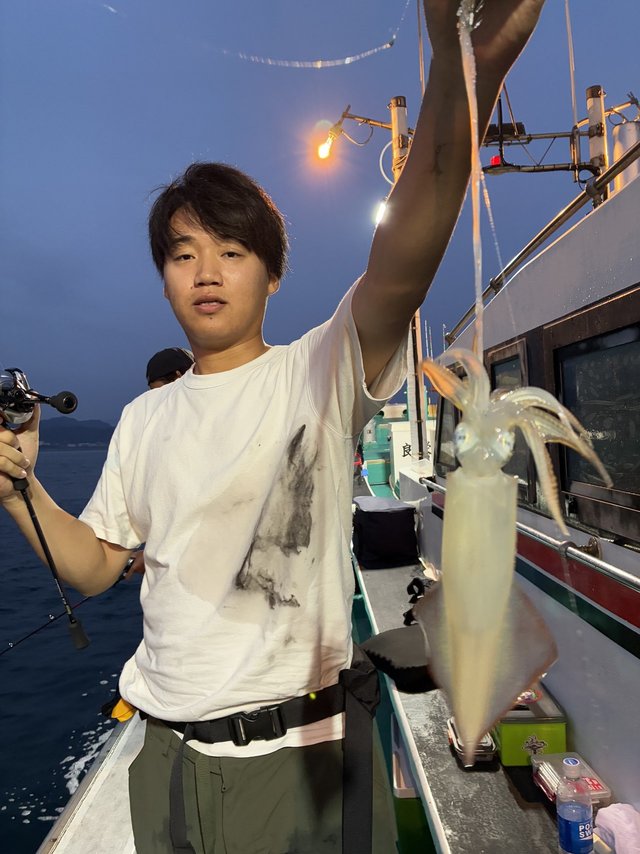 アカイカ(ケンサキイカ)