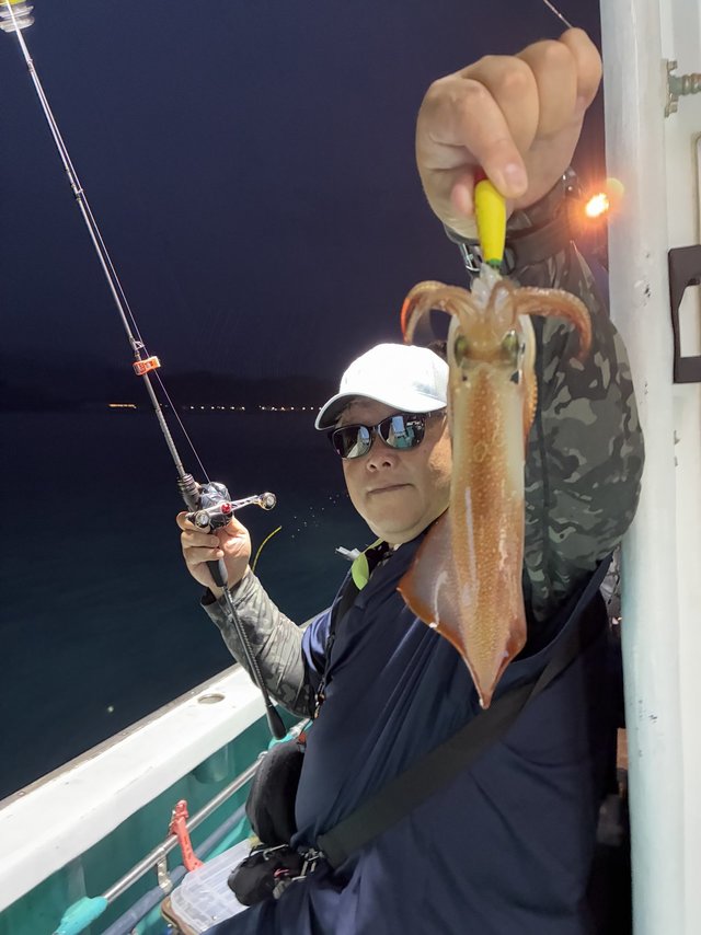 アカイカ(ケンサキイカ)