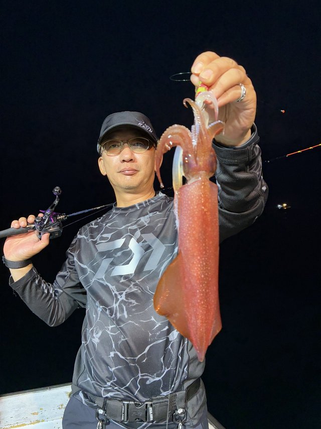 アカイカ(ケンサキイカ)