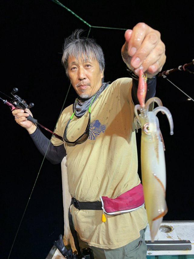 アカイカ(ケンサキイカ)