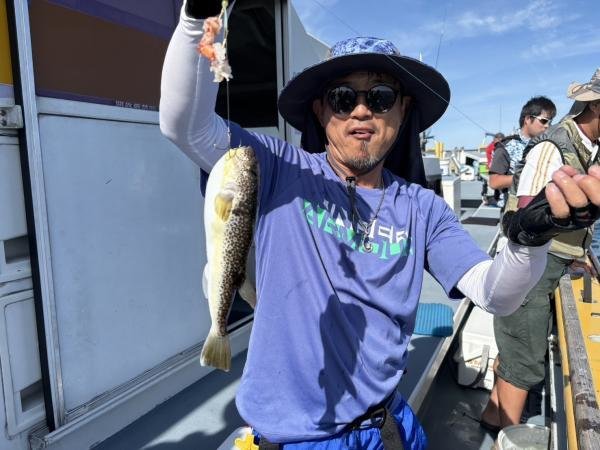 ショウサイフグ