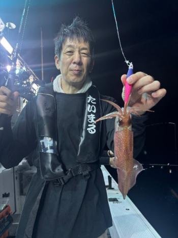 マイカ(ケンサキイカ)