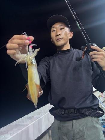 マイカ(ケンサキイカ)