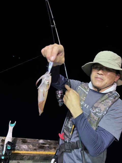 マイカ(ケンサキイカ)