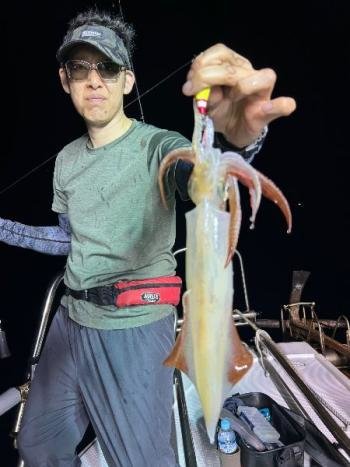 マイカ(ケンサキイカ)