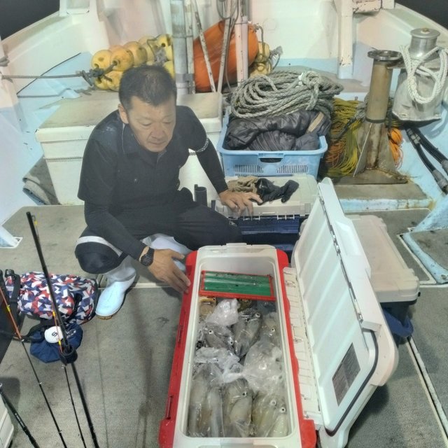 イカ(ケンサキイカ)