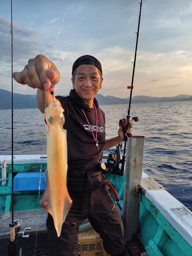 シロイカ(ケンサキイカ)