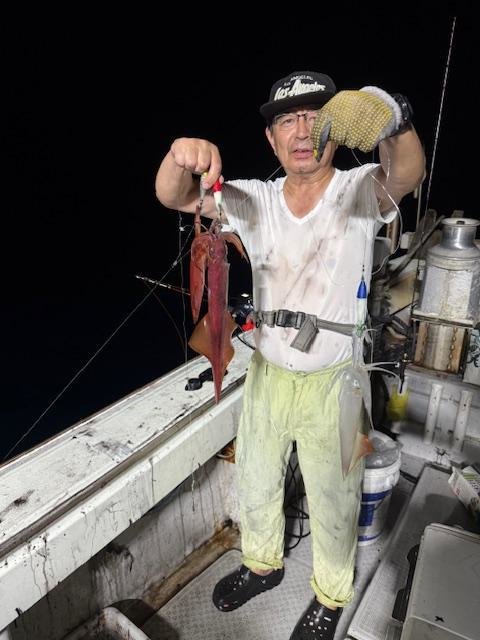 アカイカ(ケンサキイカ)