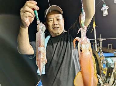 マイカ(ケンサキイカ)