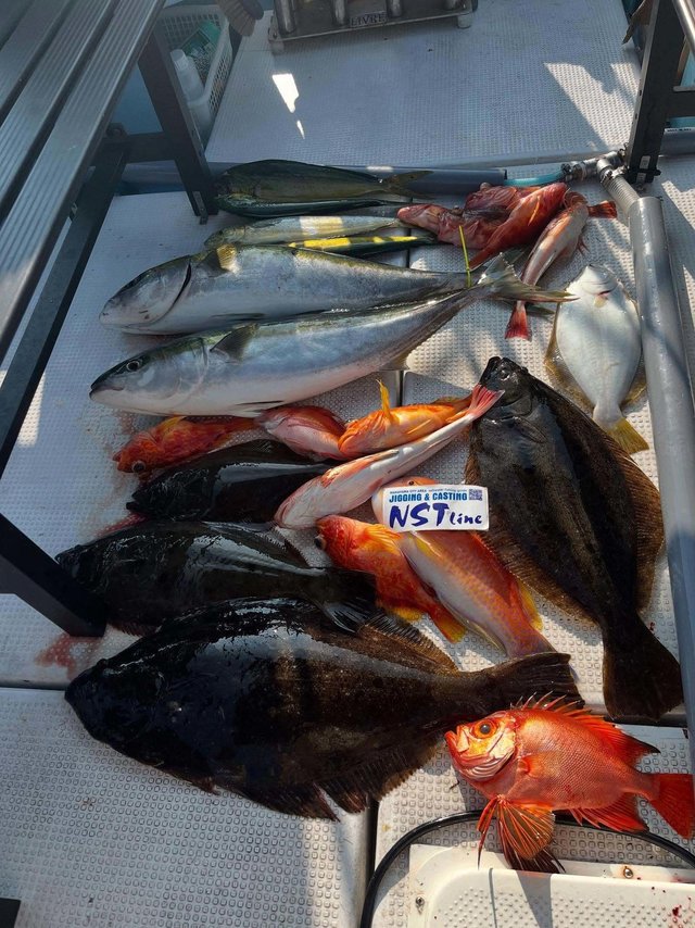 アカハタ・ブリ・シイラ・カサゴ・ヒラメ