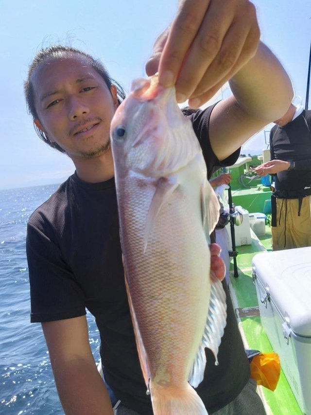 アマダイ(アカアマダイ)