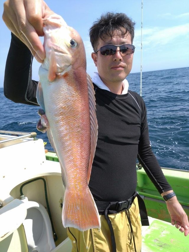 アマダイ(アカアマダイ)