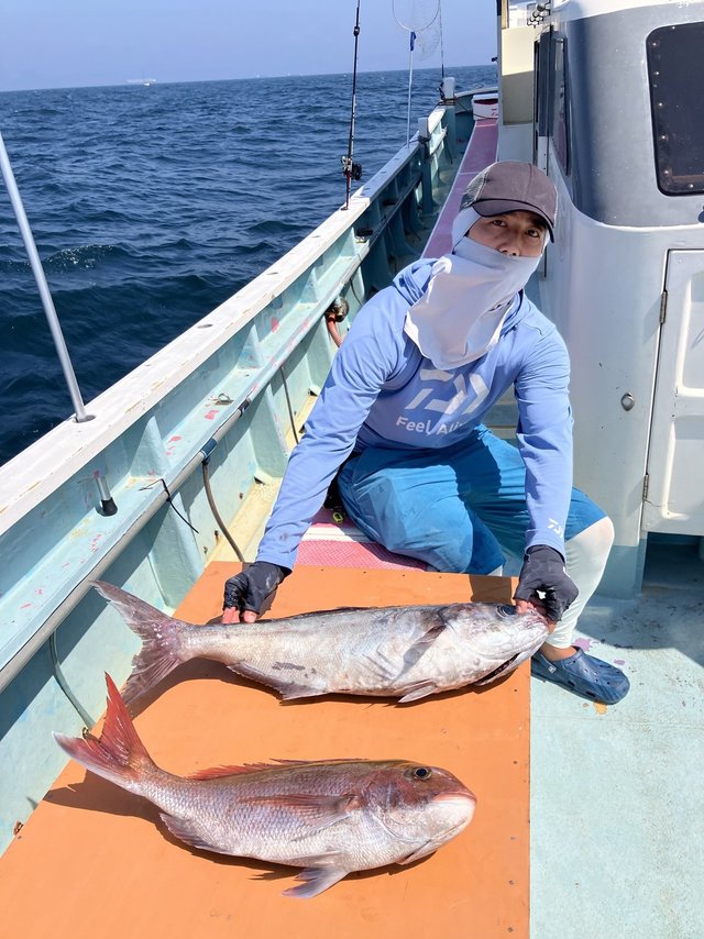 マダイ・メダイ