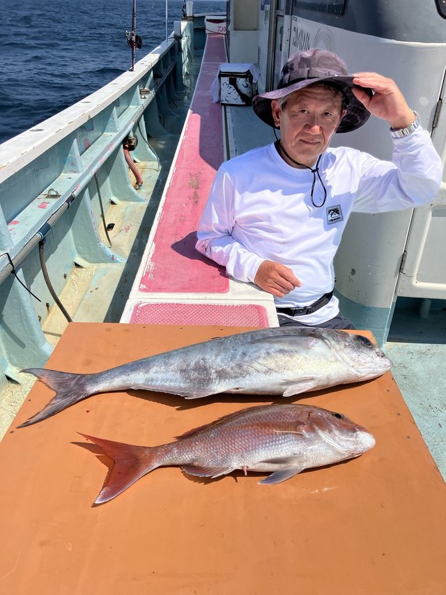 マダイ・メダイ