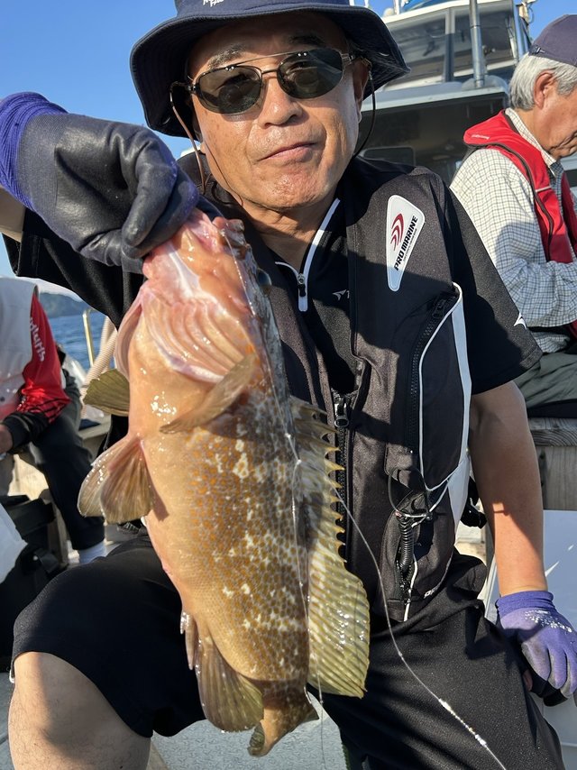 アコウ(キジハタ)