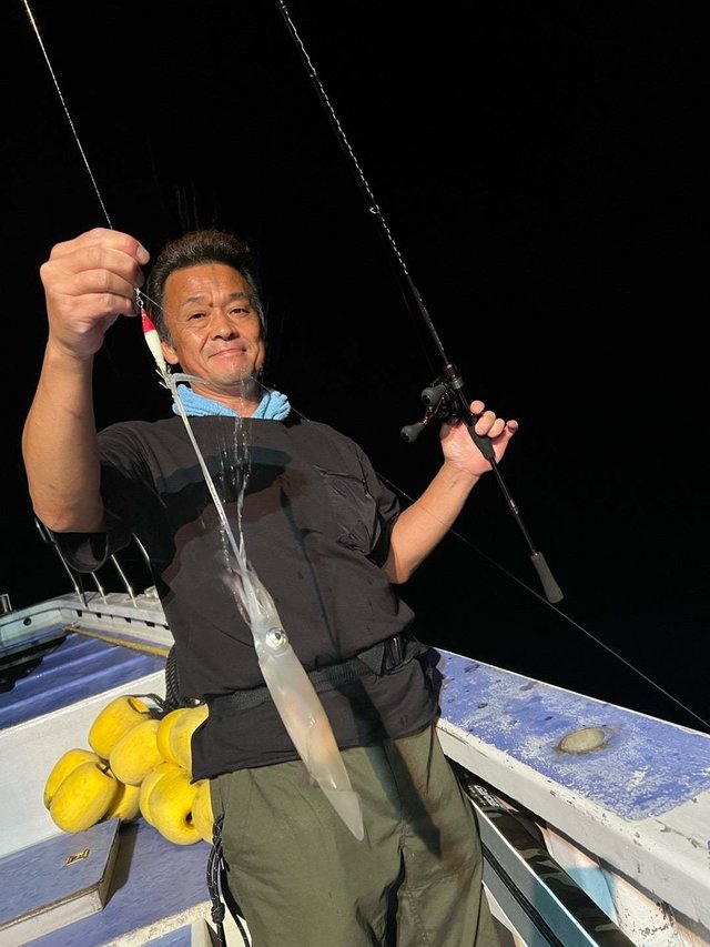 マルイカ(ケンサキイカ)