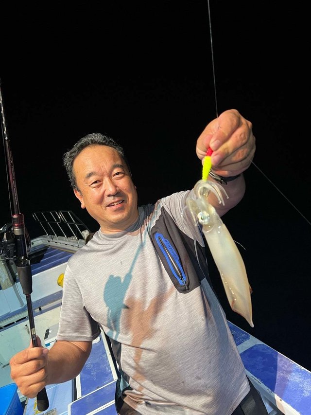 マルイカ(ケンサキイカ)