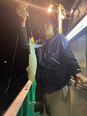 アカイカ(ケンサキイカ)