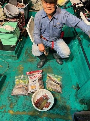 アカイカ(ケンサキイカ)・スルメイカ