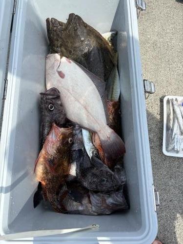 ソイ(クロソイ)・カサゴ・ヒラメ