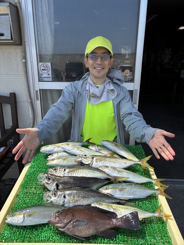アジ(マアジ)・ワカシ(ブリ)