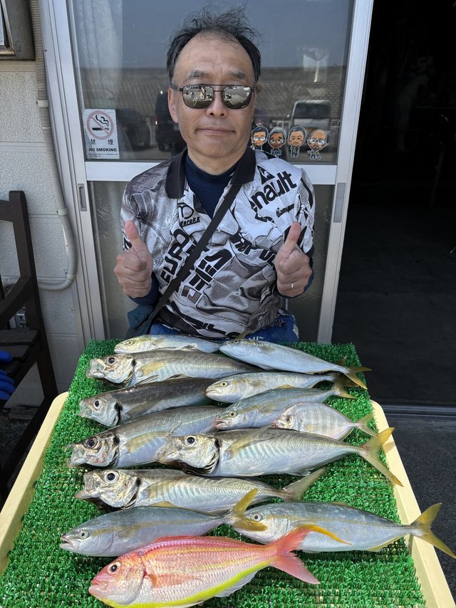 アジ(マアジ)・ワカシ(ブリ)