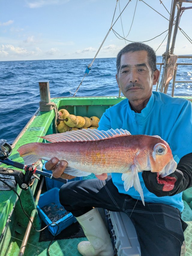 アマダイ(アカアマダイ)