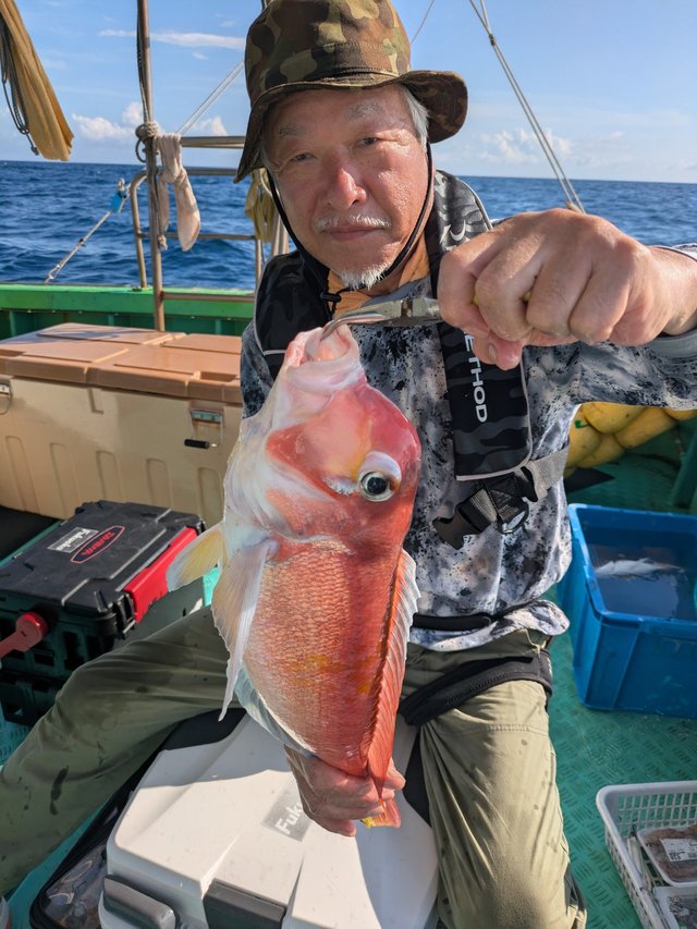 アマダイ(アカアマダイ)