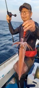 シロイカ(ケンサキイカ)