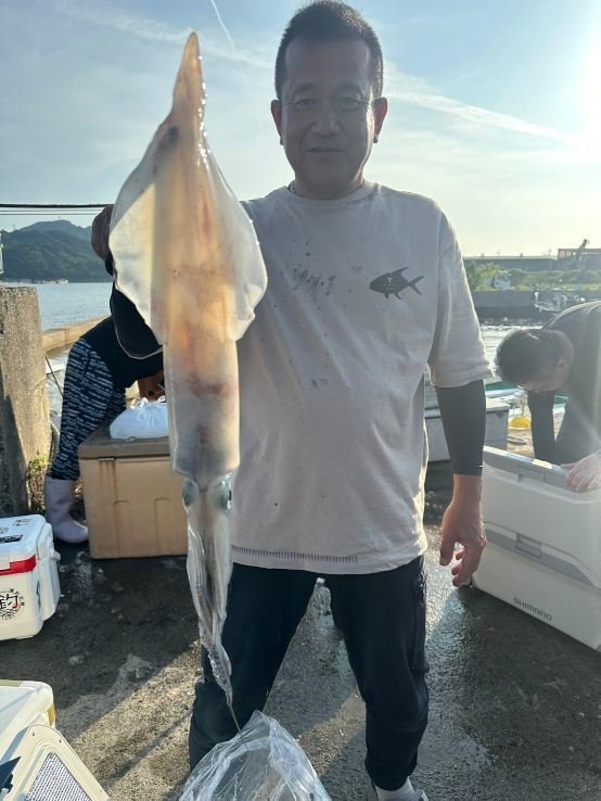 シロイカ(ケンサキイカ)