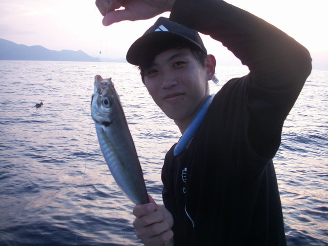 サバ(ゴマサバ)