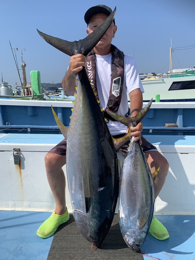 キハダマグロ(キハダ)