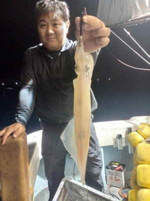 イカ(ケンサキイカ)