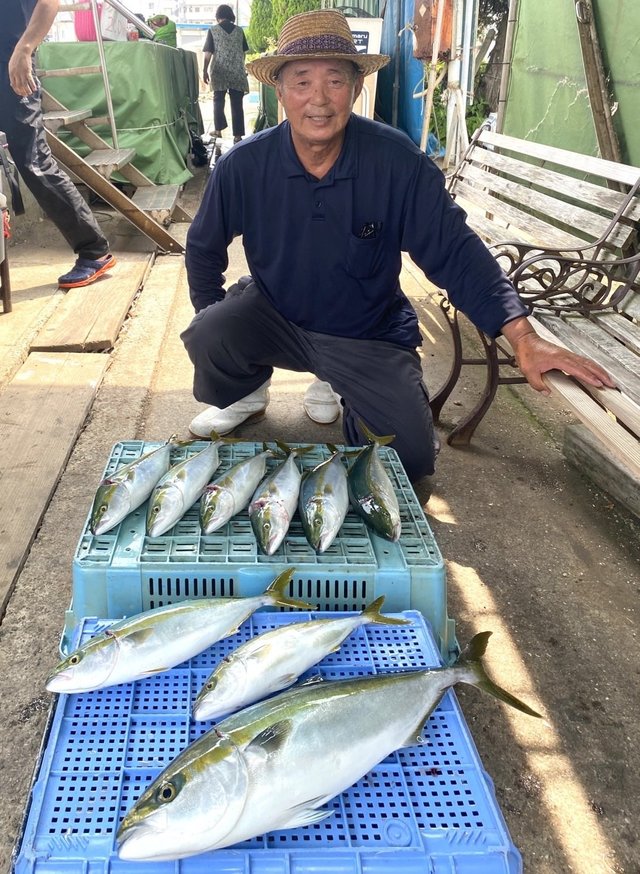 ブリ・ハマチ(ブリ)