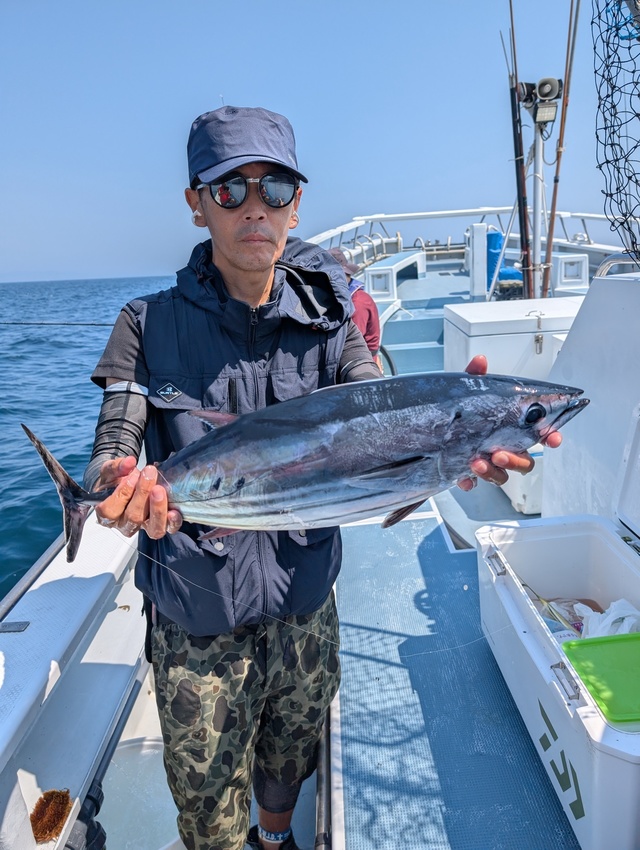 ホンガツオ(カツオ)